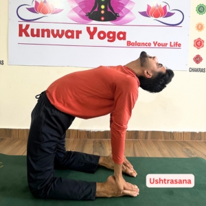 Mindful Transformation